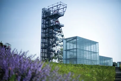 Muzeum Śląskie w Katowicach