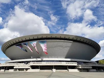 Spodek (Hala Widowiskowo‑Sportowa Spodek)